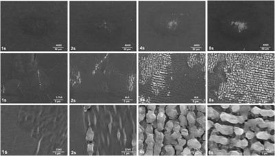 Formation of picosecond laser-induced periodic surface structures on steel for knee arthroplasty prosthetics